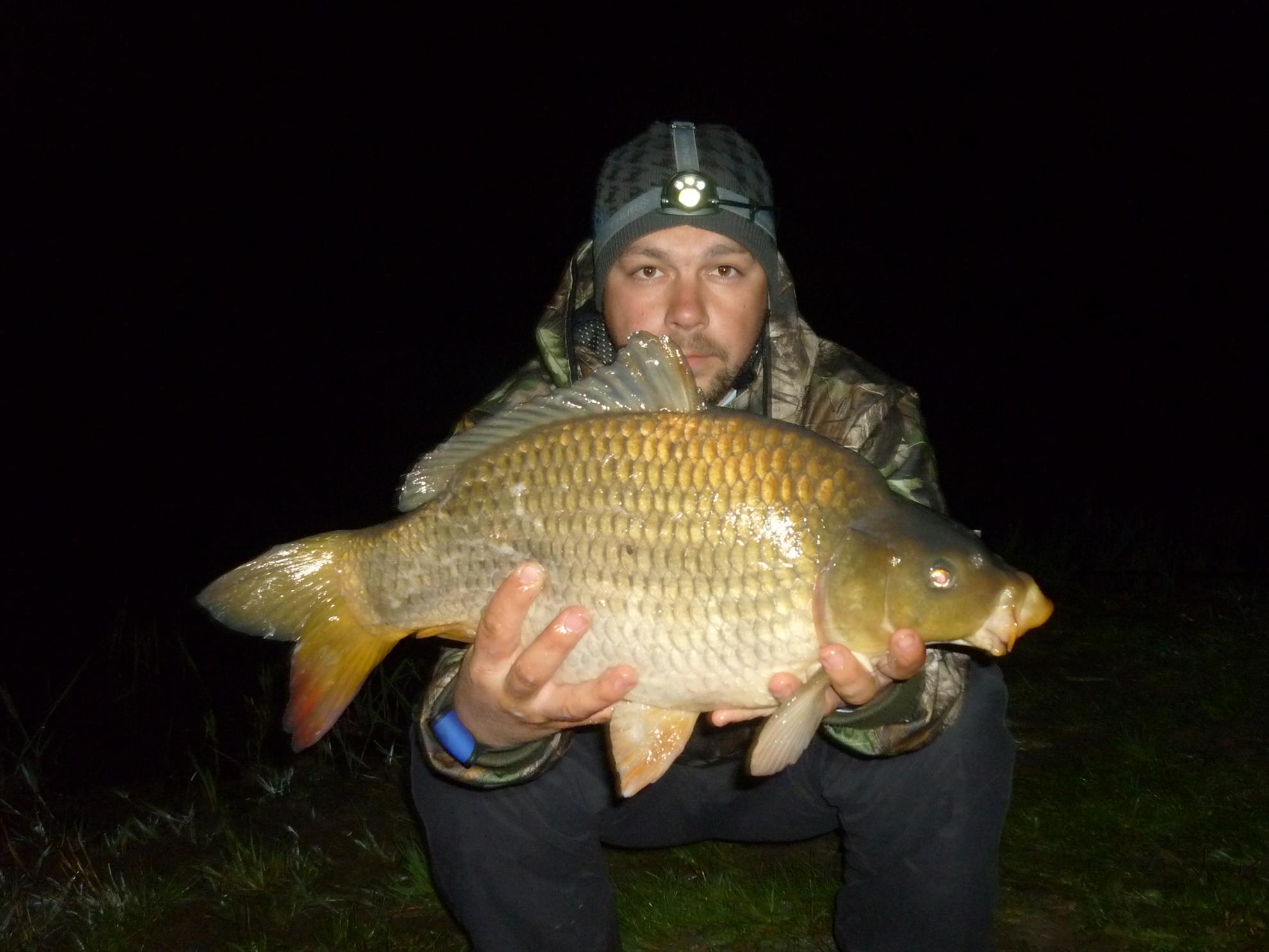 Stejeris 2011 - p1010961.JPG